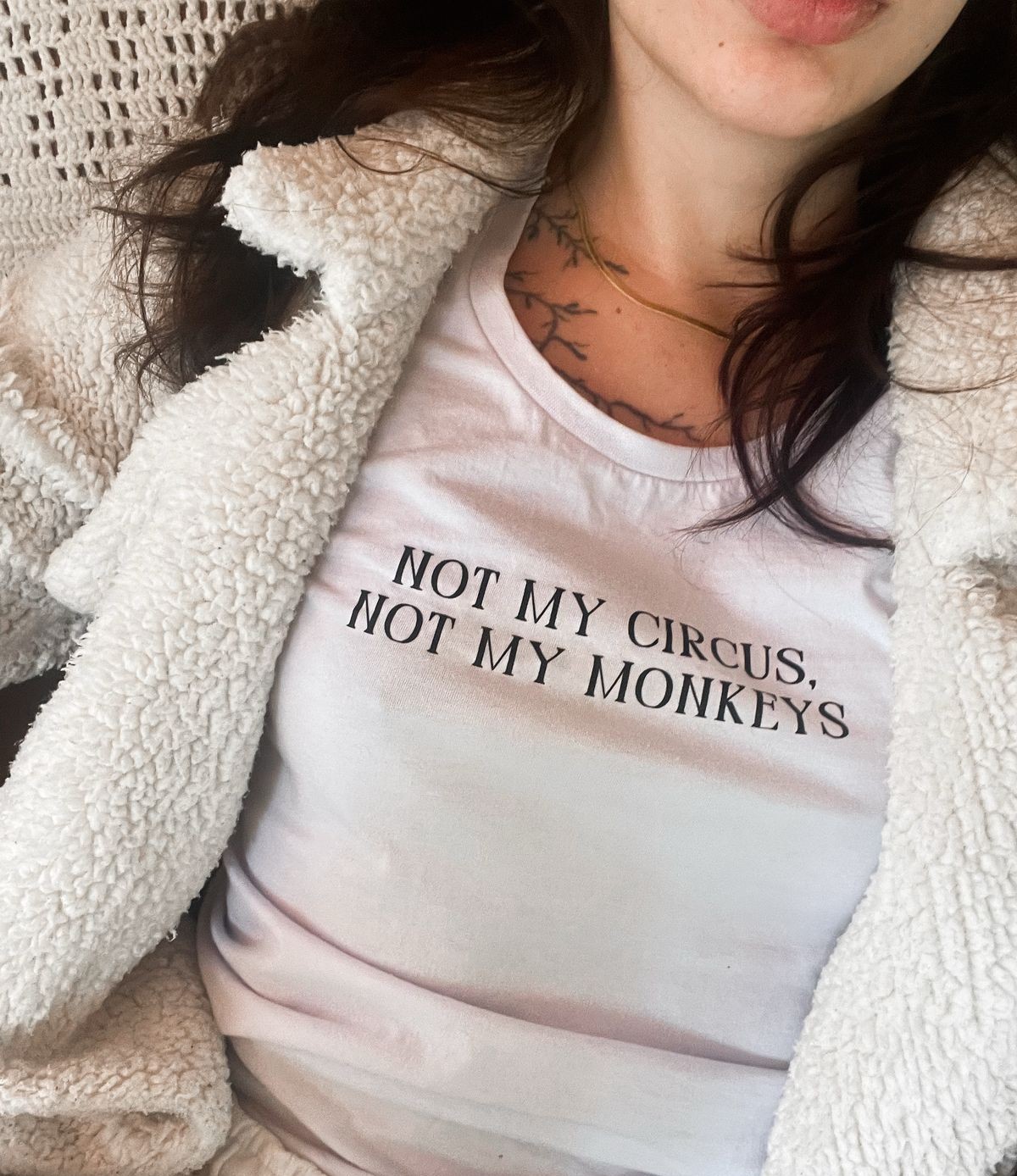 Not My Circus, Not My Monkeys