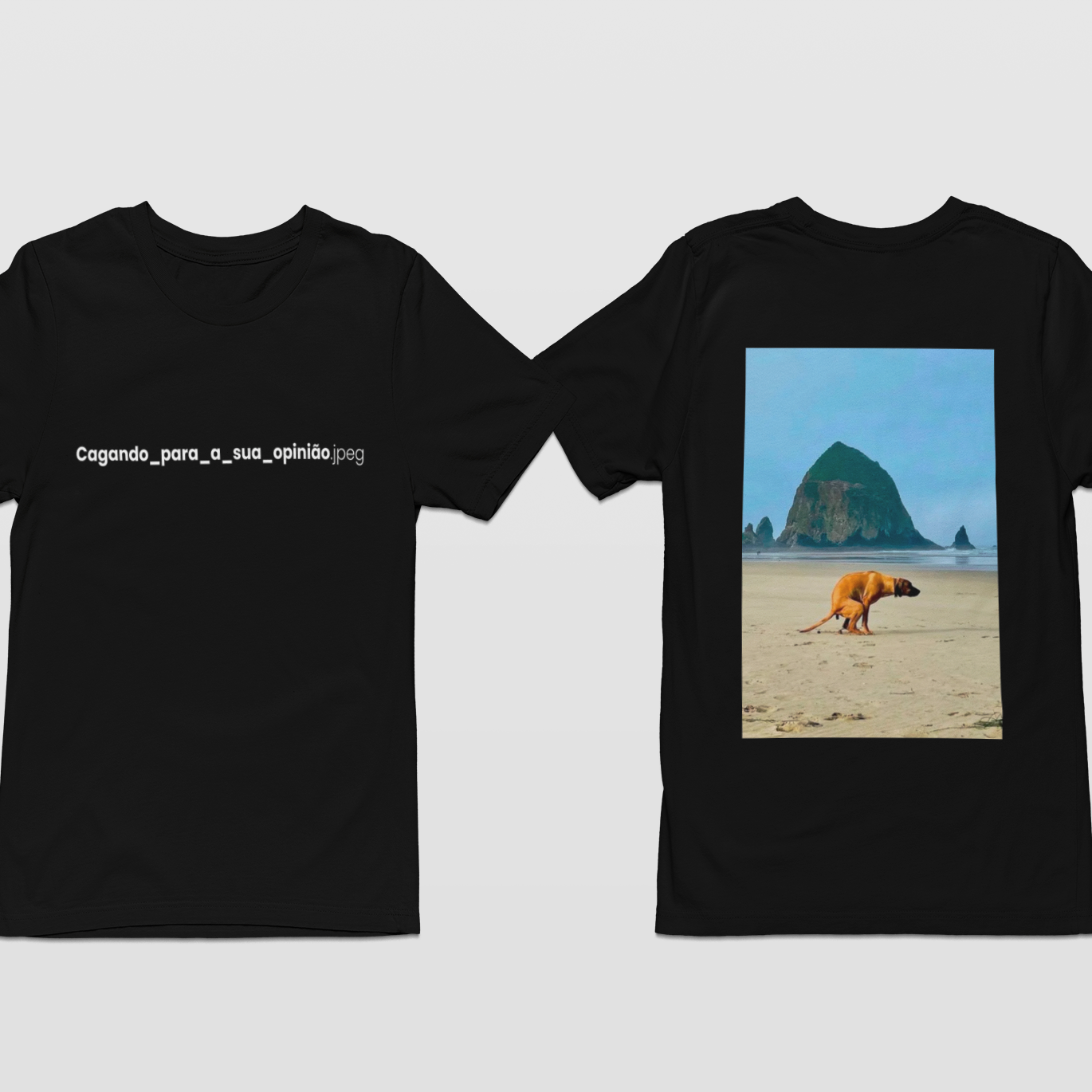 Oversized - COLORIDO - Cagando sua opinião