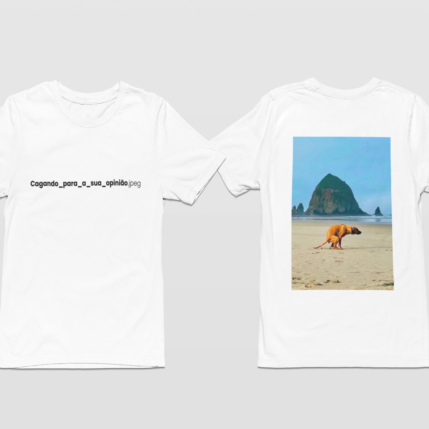 Oversized - OFF WHITE/BRANCO - Cagando sua opinião