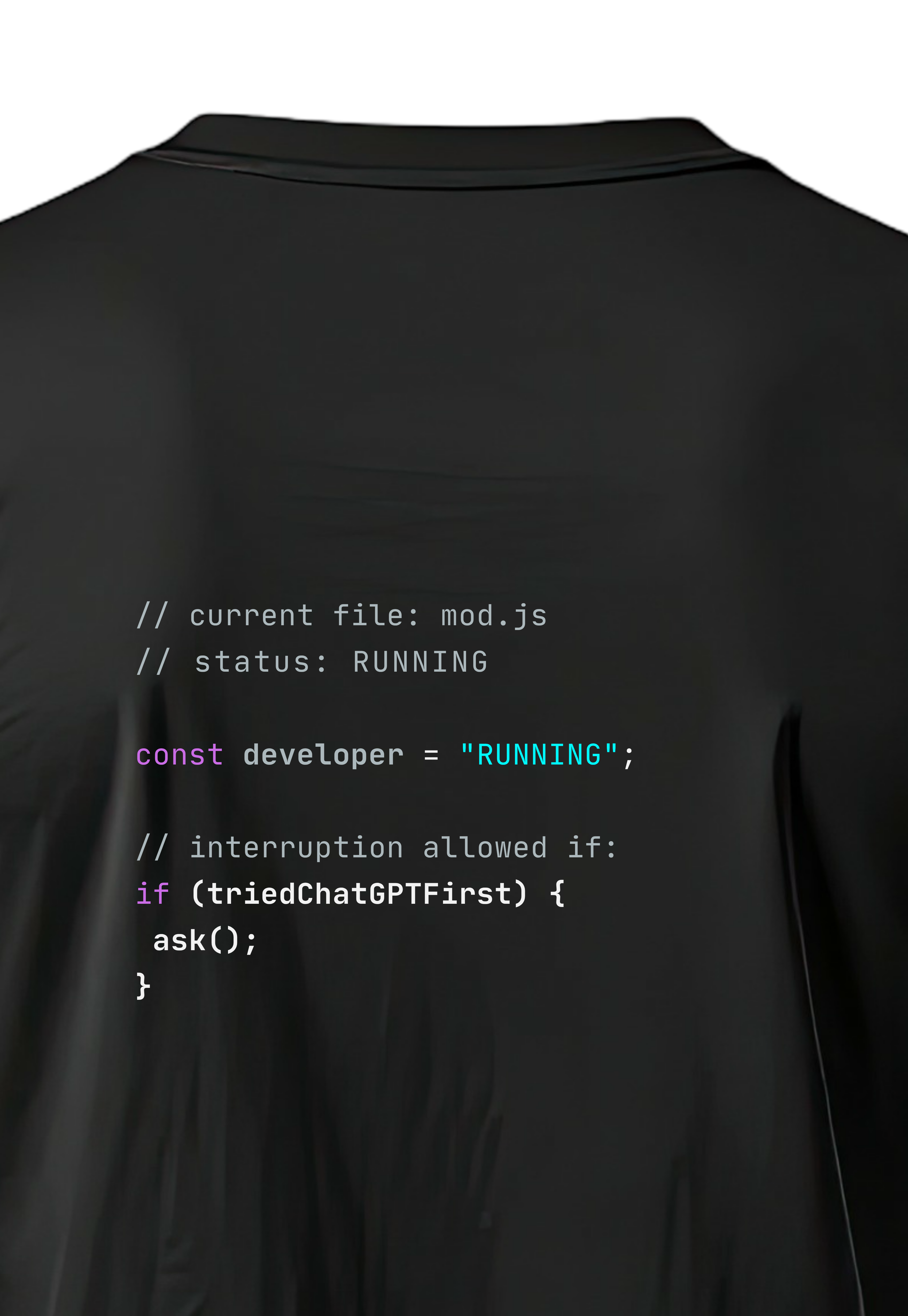 Do not disturb the developer