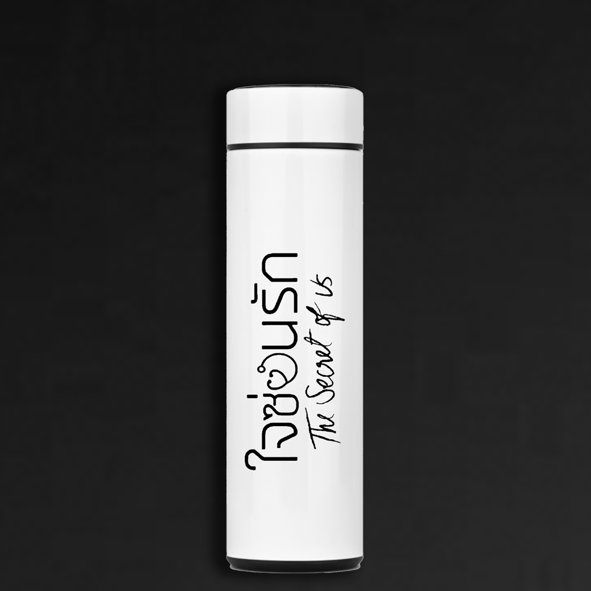 Garrafa Térmica The Secret Of Us – 400ml