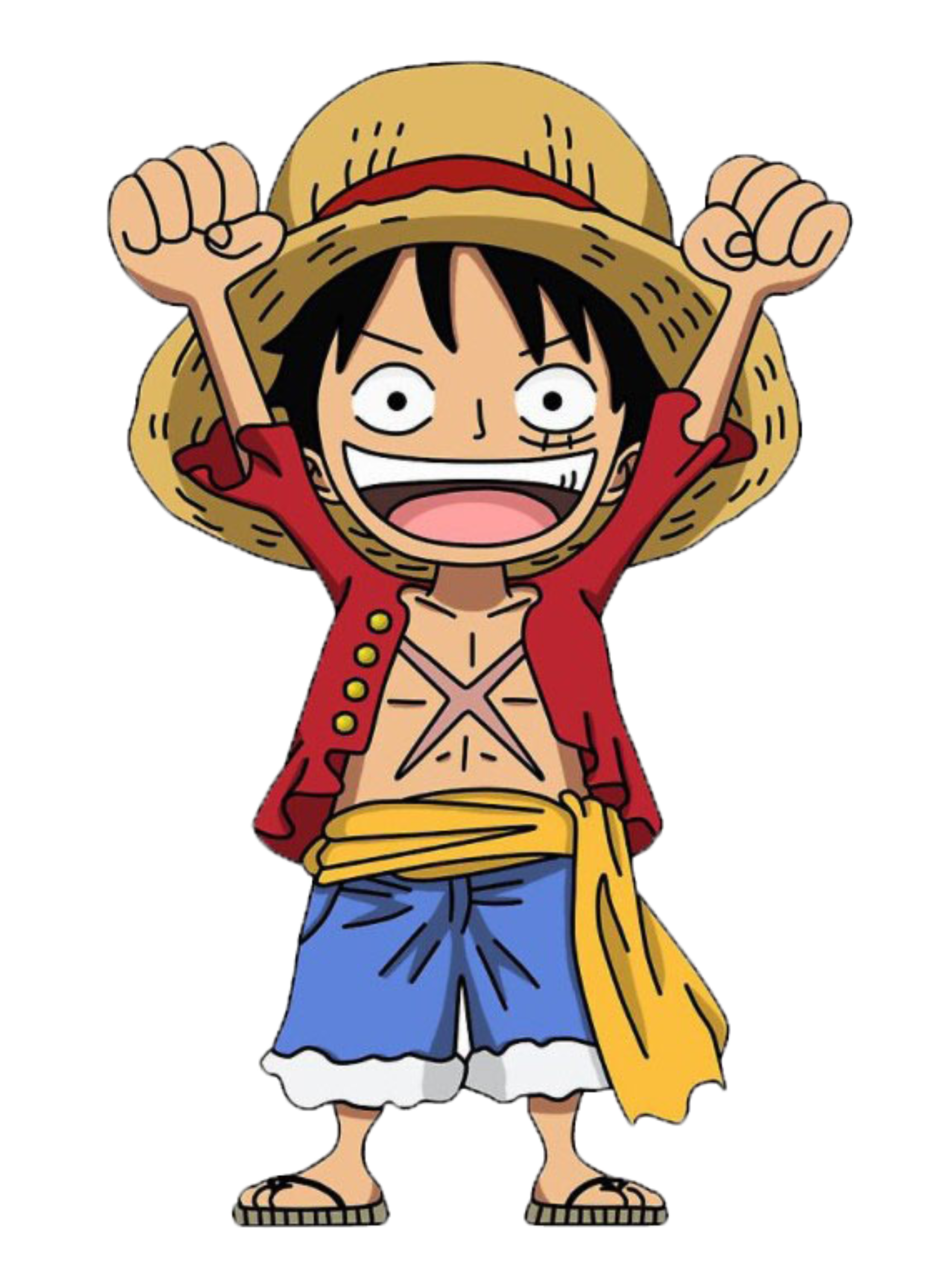 Nome do produto  One Piece - Infantil (2-8)