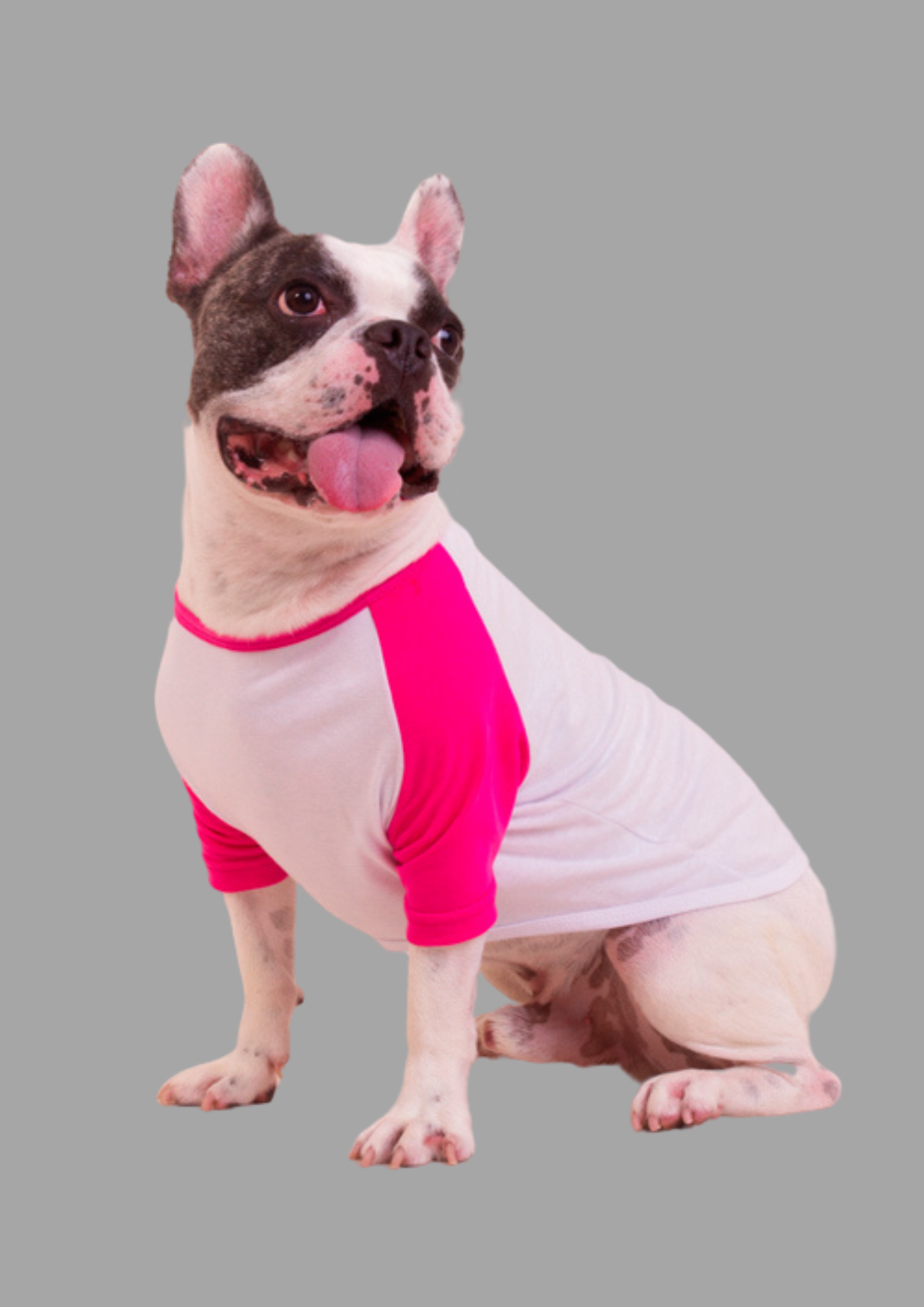 camiseta pet